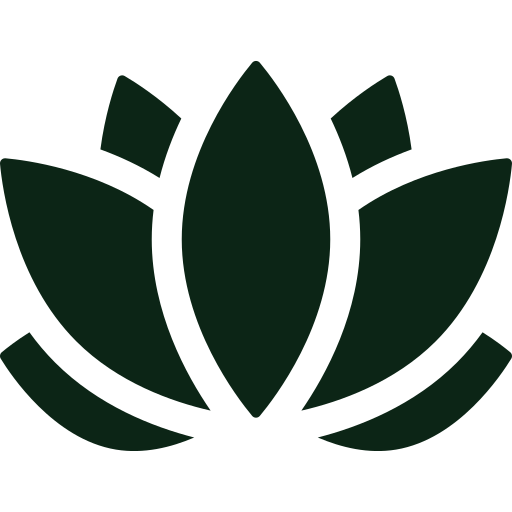 Wellness Questions